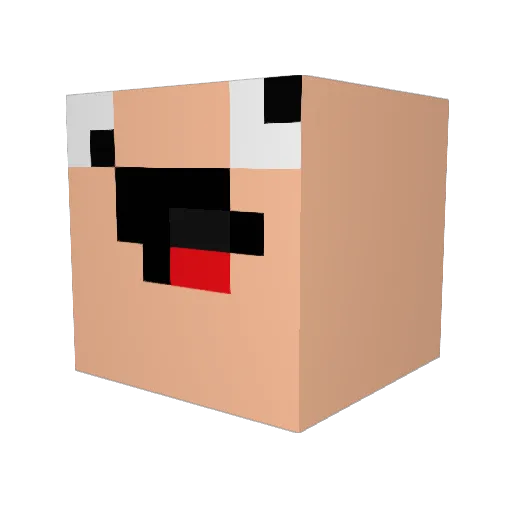 cyisfly Minecraft avatar head, 3D render