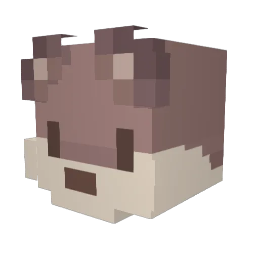 cylypso_ Minecraft avatar head, 3D render