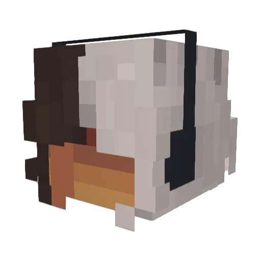 cynfulmoon Minecraft avatar head, 3D render