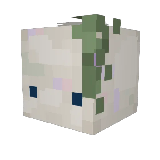 cynocamp Minecraft avatar head, 3D render