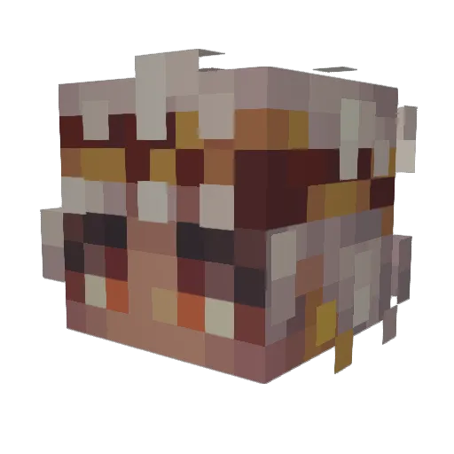cynosbed Minecraft avatar head, 3D render