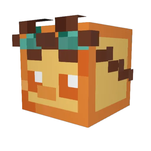 cynq_ Minecraft avatar head, 3D render