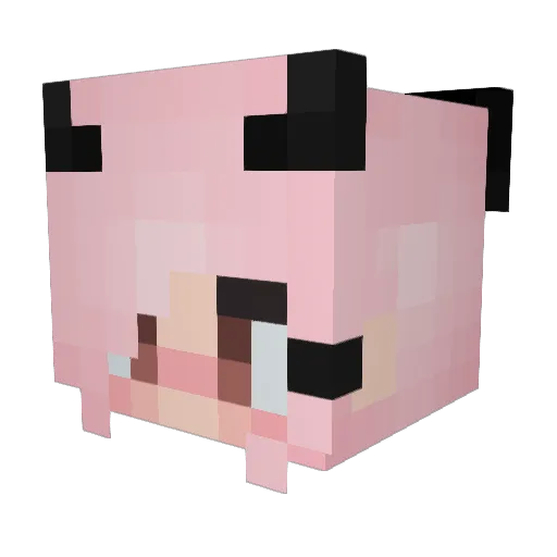 cynthia2000 Minecraft avatar head, 3D render