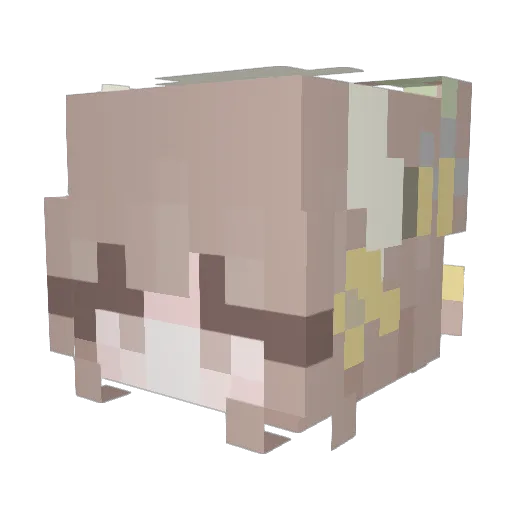 cyphenx_ Minecraft avatar head, 3D render