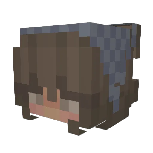 cypher1414 Minecraft avatar head, 3D render