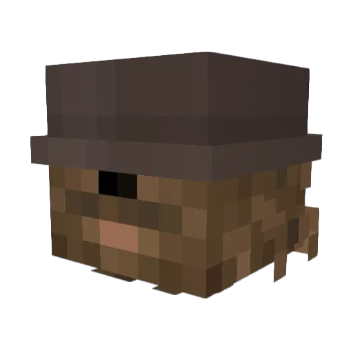 cypres2 Minecraft avatar head, 3D render