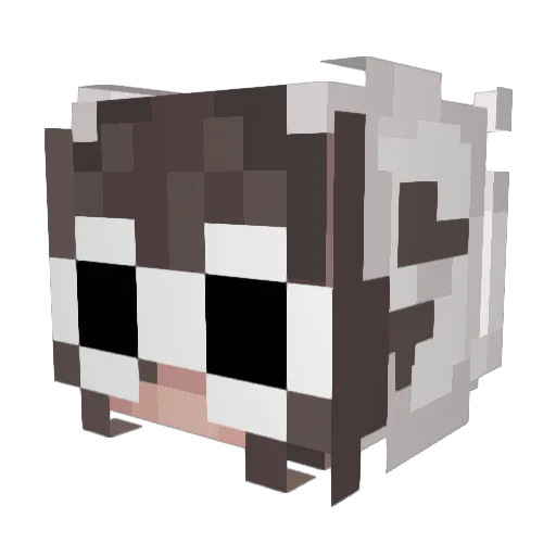 cyryl55 Minecraft avatar head, 3D render