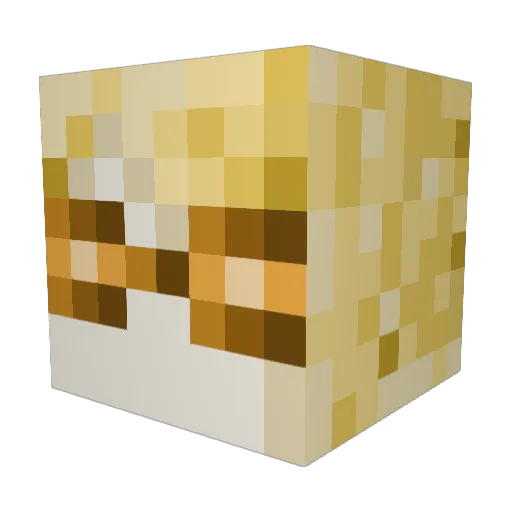 cysgata Minecraft avatar head, 3D render