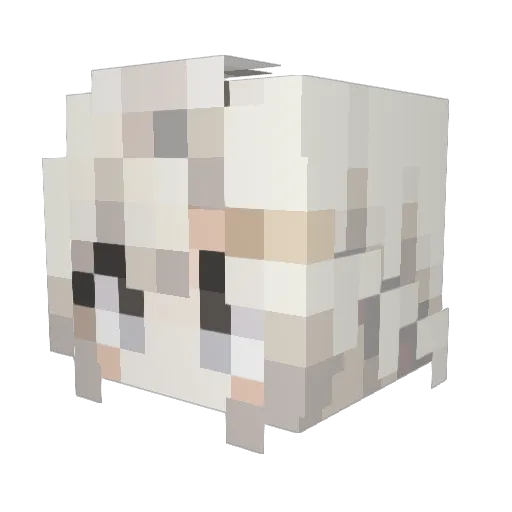 cyx23322 Minecraft avatar head, 3D render