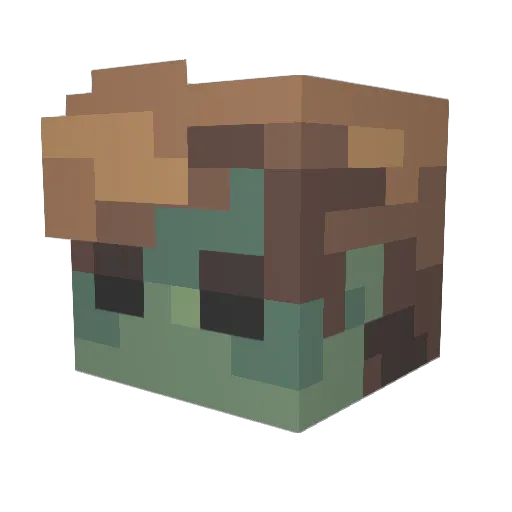 cz1ss Minecraft avatar head, 3D render
