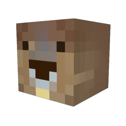 cz_czan Minecraft avatar head, 3D render