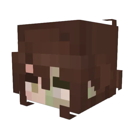czajnnik Minecraft avatar head, 3D render