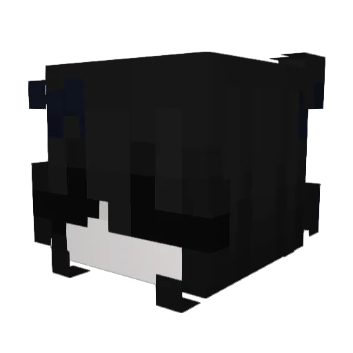 czarnaa_ Minecraft avatar head, 3D render