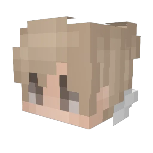 czarnakoszula Minecraft avatar head, 3D render