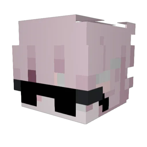 czaruscreeper Minecraft avatar head, 3D render
