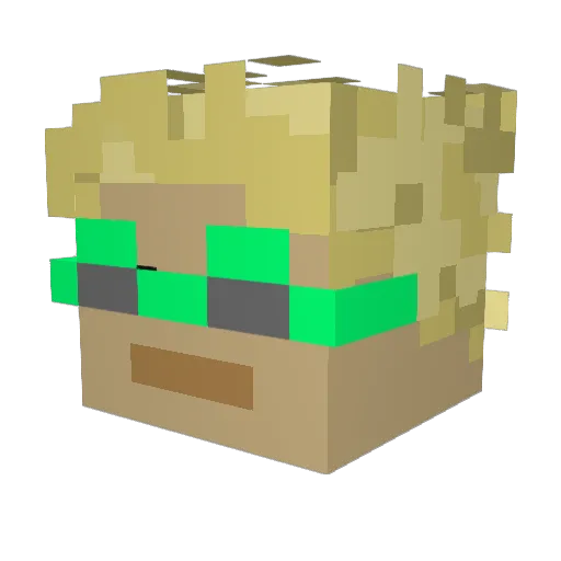 czyscicieL Minecraft avatar head, 3D render