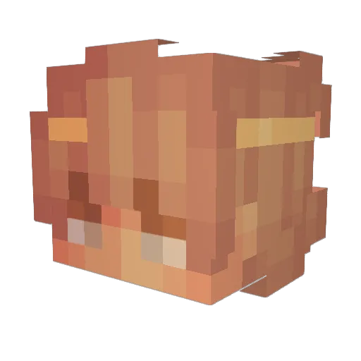 d00t_ Minecraft avatar head, 3D render