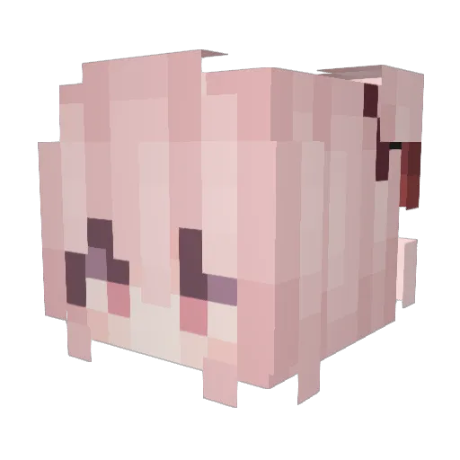 d04qu4d04 Minecraft avatar head, 3D render