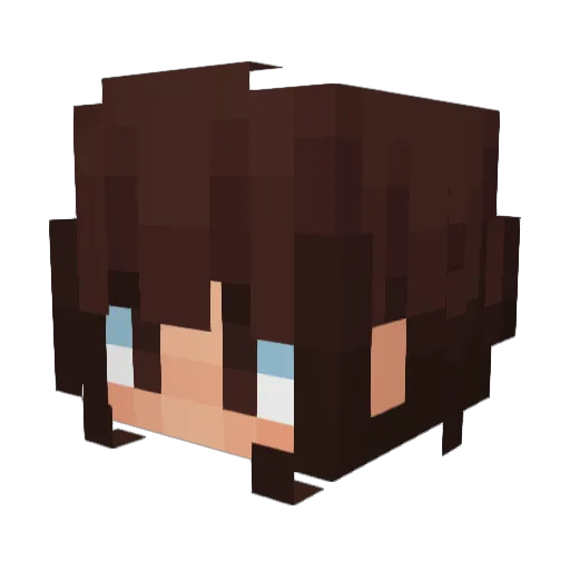d0_0by Minecraft avatar head, 3D render