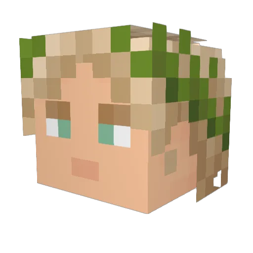 d0cmd Minecraft avatar head, 3D render