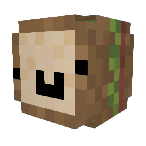 d0ct3r4t Minecraft avatar head, 3D render