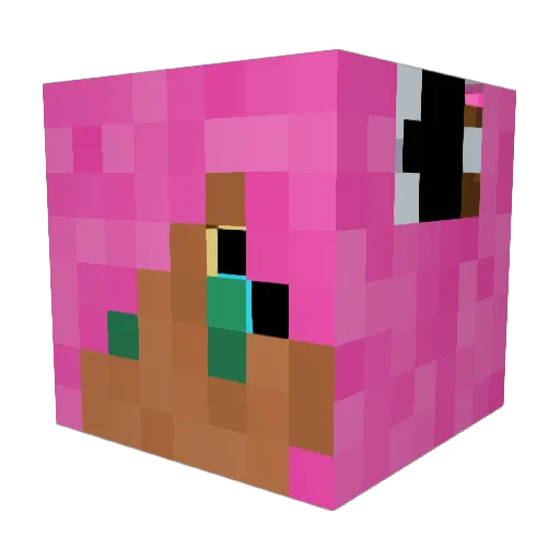 d0dg3rz Minecraft avatar head, 3D render