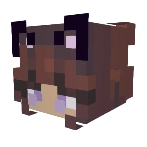 d0gh4t Minecraft avatar head, 3D render