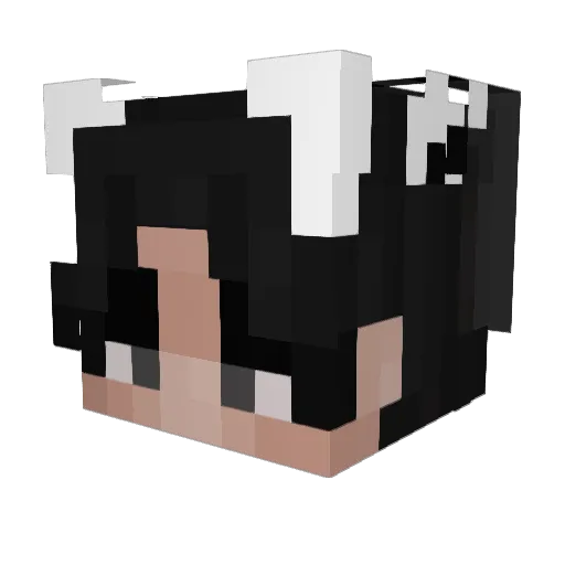 d0notthecar Minecraft avatar head, 3D render