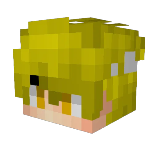d0vvza Minecraft avatar head, 3D render