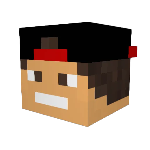 d10g0_Br Minecraft avatar head, 3D render