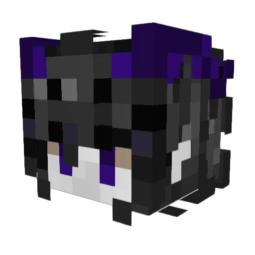 d13e Minecraft avatar head, 3D render