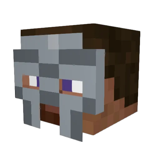 d1anet Minecraft avatar head, 3D render