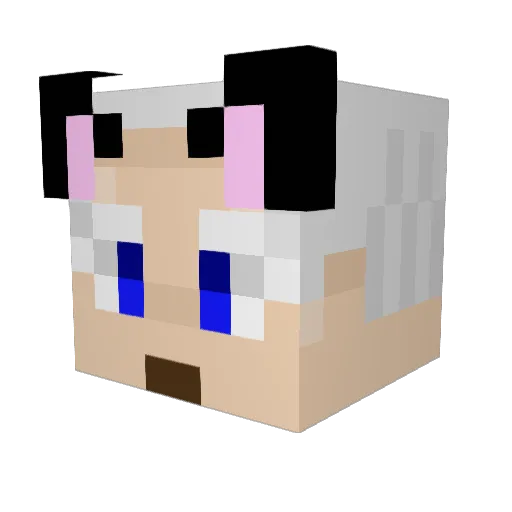 d1ckbiscuit911 Minecraft avatar head, 3D render