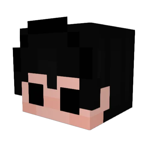 d1devt Minecraft avatar head, 3D render