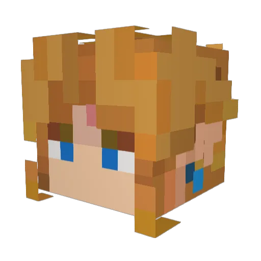 d1g_00 Minecraft avatar head, 3D render