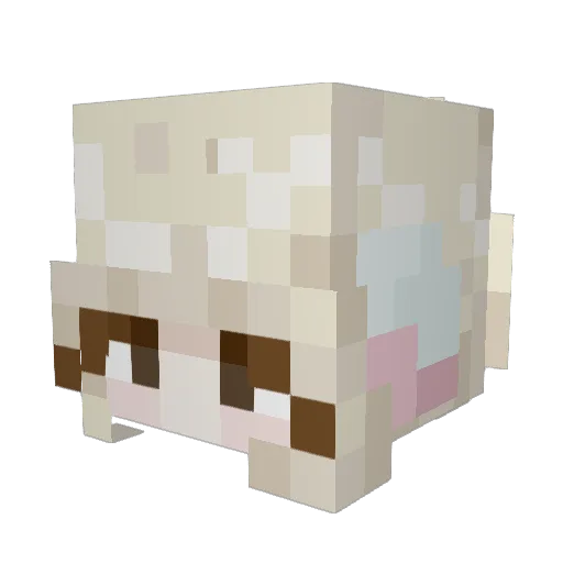 d1lanastan Minecraft avatar head, 3D render