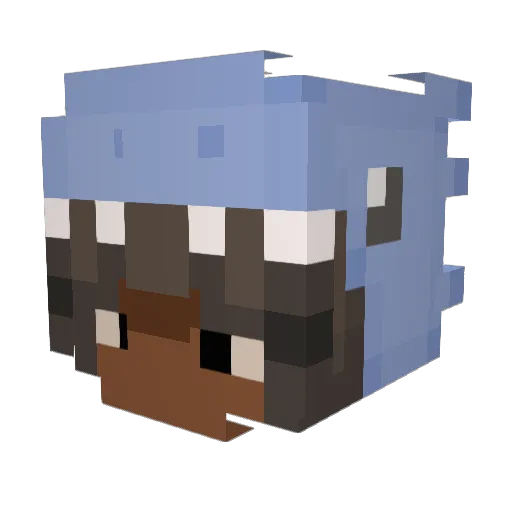 d1niel Minecraft avatar head, 3D render