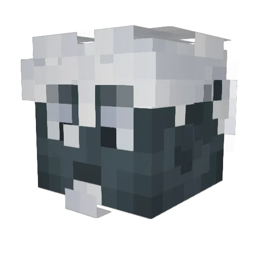 d1solxti0n Minecraft avatar head, 3D render