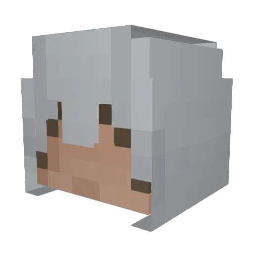 d1ssect Minecraft avatar head, 3D render