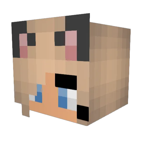 d2193201930921 Minecraft avatar head, 3D render