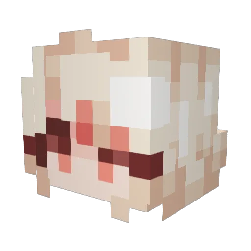 d3adssss Minecraft avatar head, 3D render
