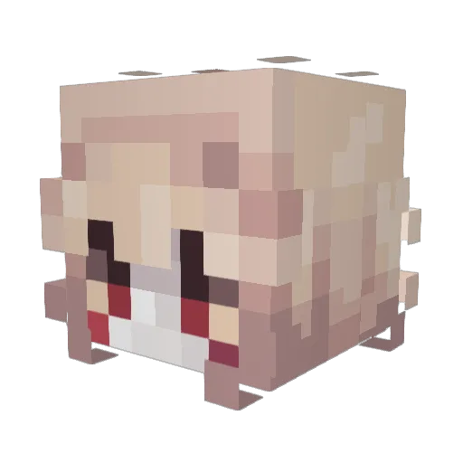 d3r3klord3 Minecraft avatar head, 3D render