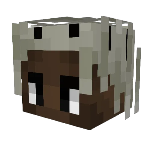 d3str0ylon3ly Minecraft avatar head, 3D render