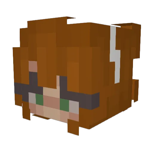 d3viltown Minecraft avatar head, 3D render