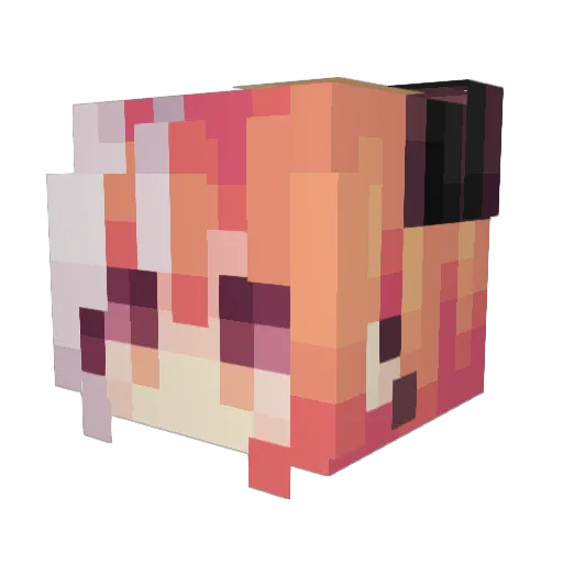 d3vzer0 Minecraft avatar head, 3D render