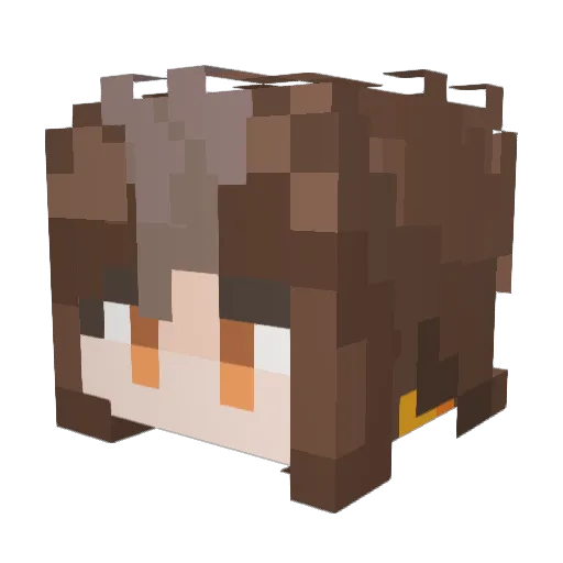 d4nco Minecraft avatar head, 3D render