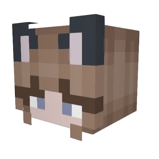 d4ni1ela Minecraft avatar head, 3D render