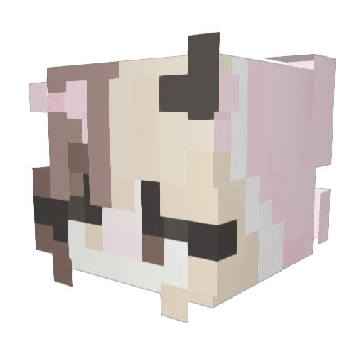 d4nvee_ Minecraft avatar head, 3D render