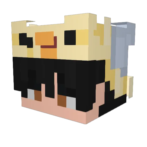d4rkgian Minecraft avatar head, 3D render