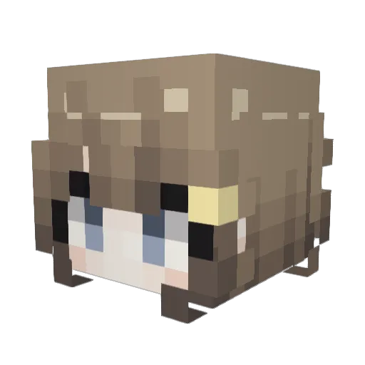 d4rlingue Minecraft avatar head, 3D render